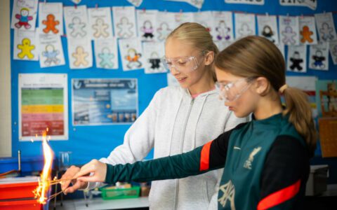 Newsletter - December 2024