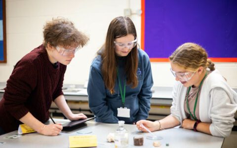 Newsletter - February 2025