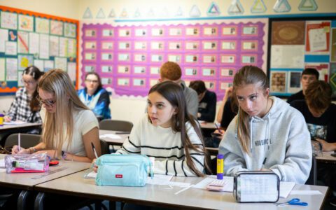 Newsletter - November 2024